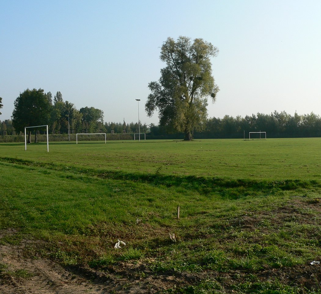 TERRAIN DES PIEDS HUMIDES 1